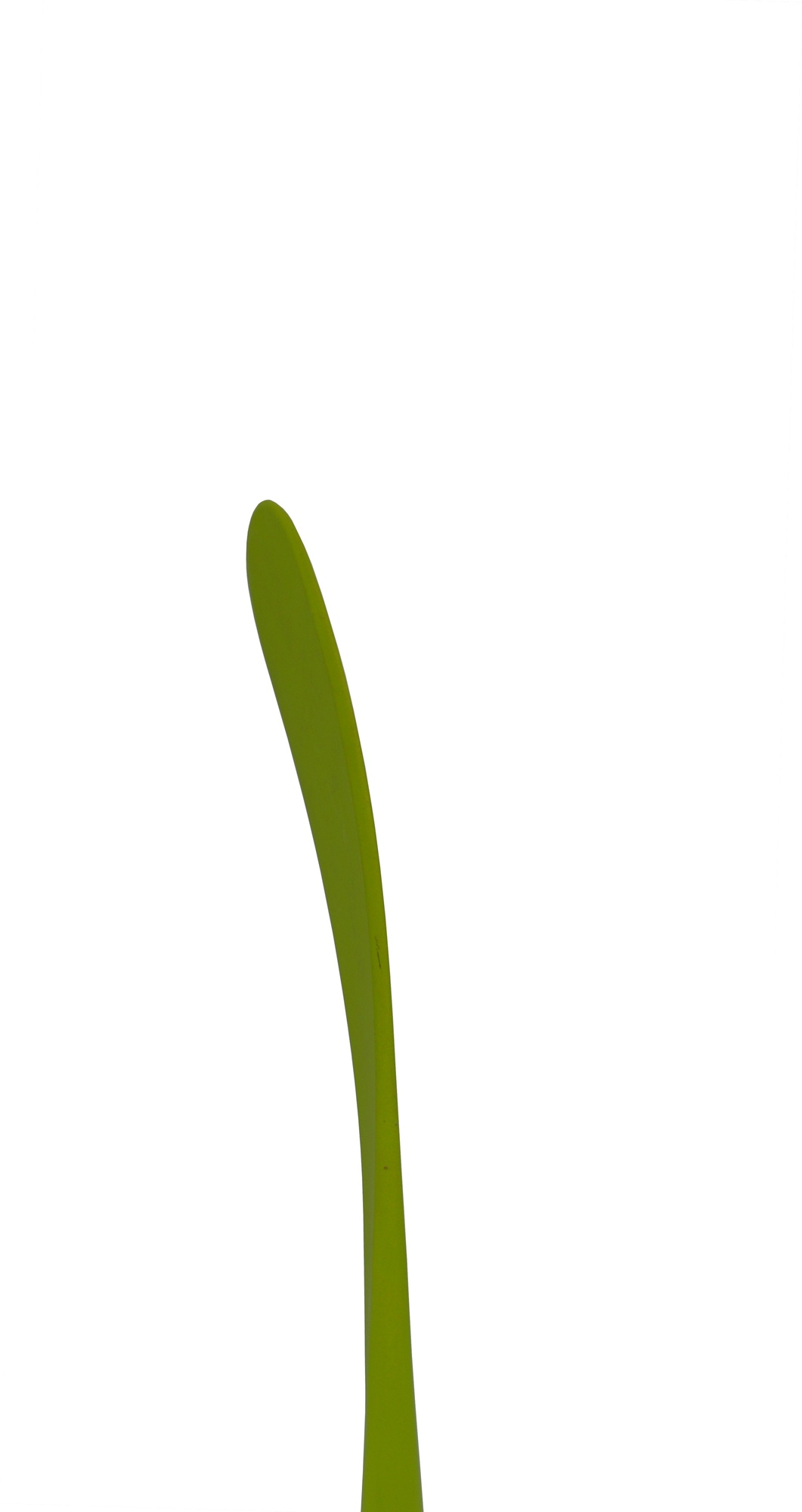 Winnwell Hokejka Winnwell Q5 Grip 2019 JR, Junior, 50, R, PS119