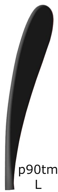 Hokejka CCM Ribcor Trigger 6 Pro SR, Senior, 75, L, P90
