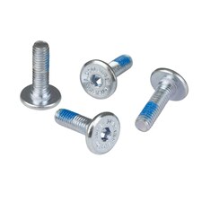 Skrutka Powerslide Chaya DCM Mounting 19mm