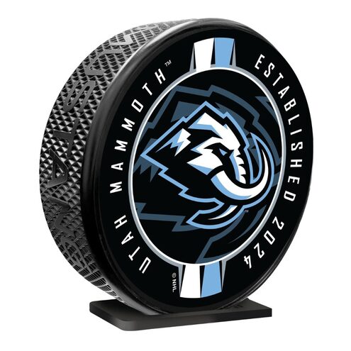 Mustang NHL Mega Puck Ribbon Design