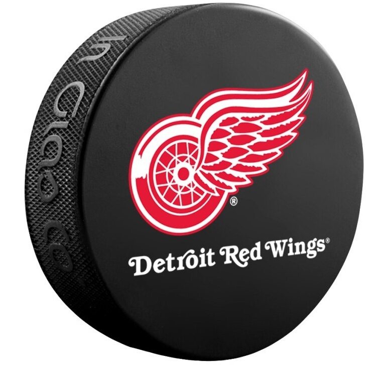 InGlasCo Fanouškovský puk NHL Logo Blister (1ks), Detroit Red Wings