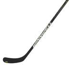 Hockey stick Winnwell Q13 Grip 2019 SR