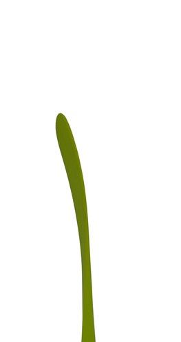 Hokejka Winnwell Q5 2019 YTH