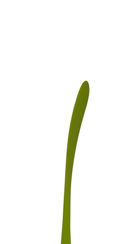 Hokejka Winnwell Q5 2019 JR