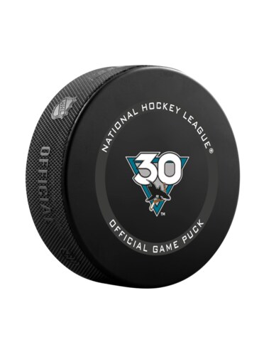 Fanúšikovský puk NHL Game 20th Anniversary (1ks)