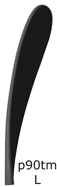 CCM Hokejka CCM Jetspeed FT6 SR, Senior, 85, L, P90TM